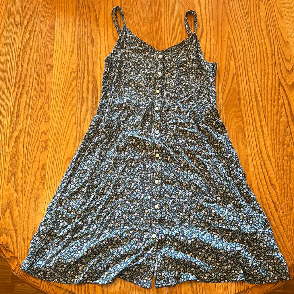 Aerie Blue Floral Mini Dress